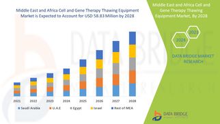 Middle East and Africa Cell and Gene Therapy Thawing Equipment Market Set to Expand with Rising Biot