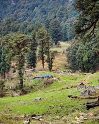 Exploring Dayara Bugyal: A Journey of Adventure and Culture