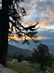Why Monsoon Might Be the Best Time for Photographers in Chopta &amp; Deoriatal
