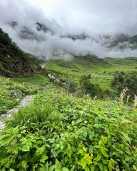 Top Attractions That Make Valley of Flowers a Bucket-List Place in India