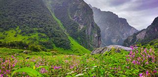 Valley of Flowers Journey Guide: From Govindghat to Ghangaria and Beyond