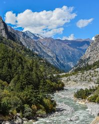 Uttarakhand National Parks: Where Himalayan Majesty Meets Wildlife Wonder