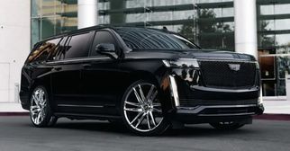 Hamilton Airport Limo &amp; Party Bus Services – Luxury Travel Made Easy