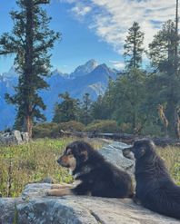 10 Best Places to Witness the Majestic Garhwal Himalayas in Full Glory