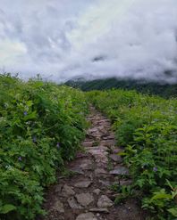Nanda Devi Biosphere Reserve – A Hidden Himalayan Wilderness