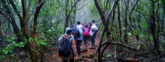 A Complete Guide to the Andharban Trek – Maharashtra’s Enchanted Jungle Trail