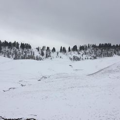 Dayara Bugyal Trek Package - Itinerary, Cost, Difficulty &amp; Best Time