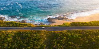 Top 10 Unique Wildlife Experiences in Australia