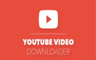 Y2Mate – Convert &amp; Download YouTube Videos to MP3 or MP4 Instantly