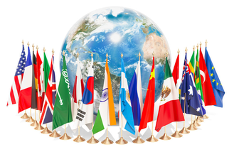 The Essential Guide to Professional Document Translation Qatar Services