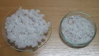 Global Chlorates Market Forecasts Strong Growth Driven by Agricultural, Industrial, and Chemical App