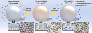 Global Polymeric Adsorbents Market Poised for Strong Growth, Driven by Industrial and Environmental