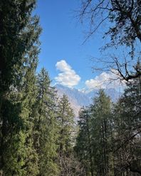 Planning a Memorable Family Adventure on the Kuari Pass Trek