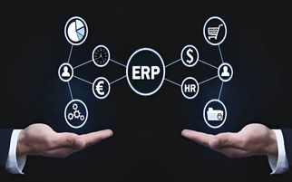 Building a Scalable Tech Foundation: Partnering with the Right Provider