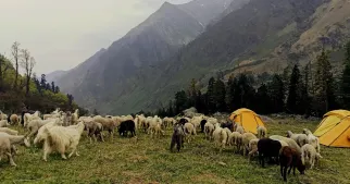 Top 5 Campsites With the Best Mountain Backdrops
