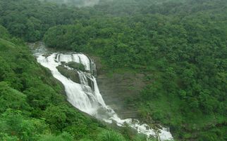 Best Weekend Getaways from Bangalore: Short Trips for Big Adventures