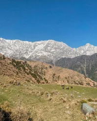 Top 5 Easy to Moderate Treks in Himachal That Promise Stunning Views