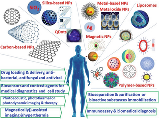Carbon Nanomaterial Market Growth Analysis &amp; Competitive Landscape 2031