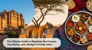 The Ultimate Guide to Rajasthan: Best Season, Top Dishes, and a Budget-Friendly Safari