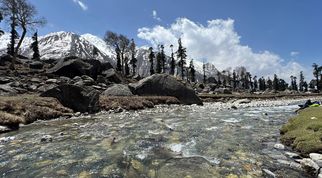 Treks Start from Sankri: Gateway to the Most Beautiful Himalayan Trails