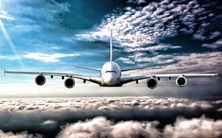 Turkish Airlines Miami Office +1-855-742-0149