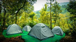 Reconnect with Nature: The Magic of Camping in Wayanad’s Wilderness