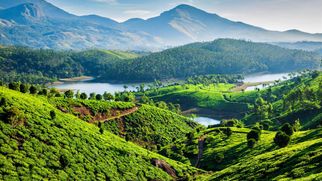 Escape to the Hills: A 3-Day Munnar Tour Package You’ll Love