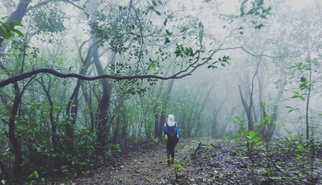 Into the Heart of the Dark Forest: A Complete Travel Guide to the Andharban Trek