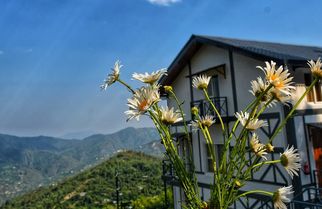 Tudor House – The Perfect Blend of Luxury and Nature in Mukteshwar