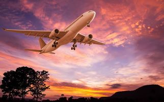 Cathay Pacific Hong Kong Corporate Office