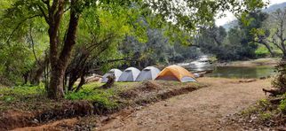 The Wild Call of Coorg: Camping, Trekking, and Chasing Waterfalls