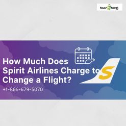 How Much Does Spirit Airlines Charge to Change a Flight?
