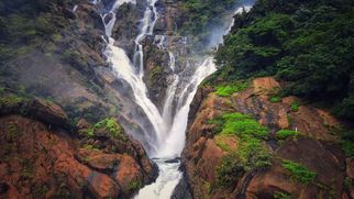 Between Forest and Falls: Experience the Magic of Trekking to Dudhsagar