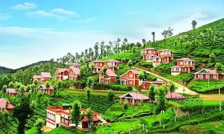 How to Explore Ooty in 3 Days: The Only Easy Guide You&rsquo;ll Ever Need