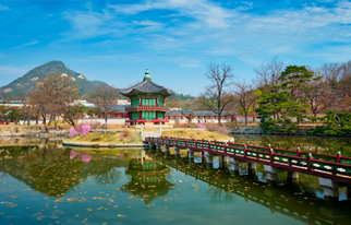 South Korea Travel Guide: Cities, Traditions, Food Culture, Daily Life &amp; Travel Tips for First-Time