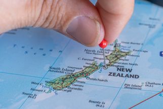 Apply New Zealand ETA from Malawi