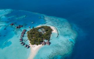 How Can Travelers Choose the Right Island in the Maldives?