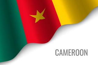 Cameroon eVisa for Bahamas