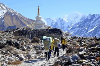 Into the Quiet Mountains: Discovering the Beauty of Langtang Valley Trek