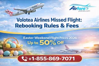 Volotea Airlines Missed Flight: Rebooking Rules &amp; Fees