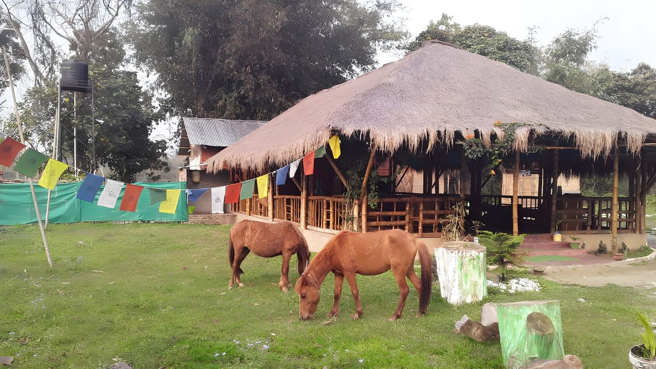 HUT (Tripple)
