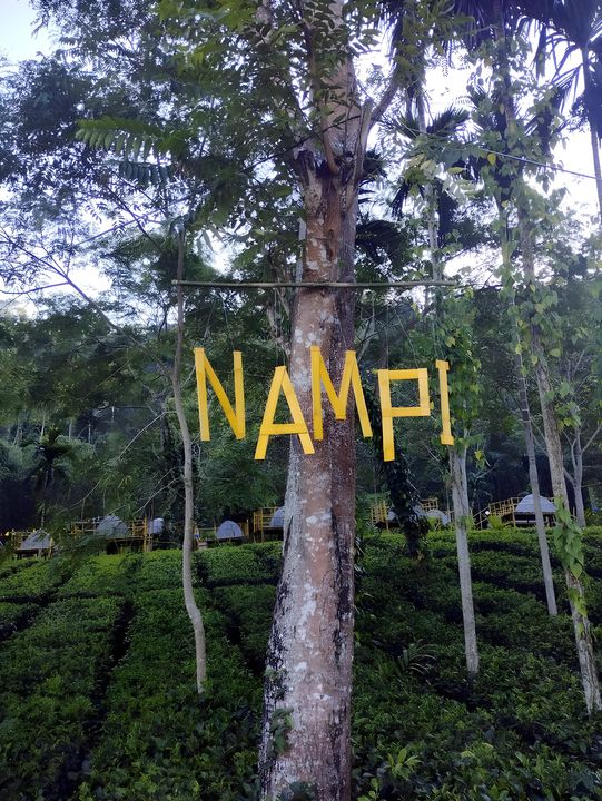 Nearby Experience