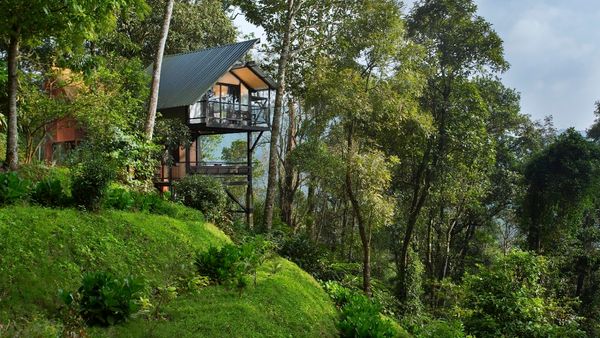 Bamboo Dale Resort, Munnar