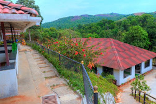 Jungle Bride Resort