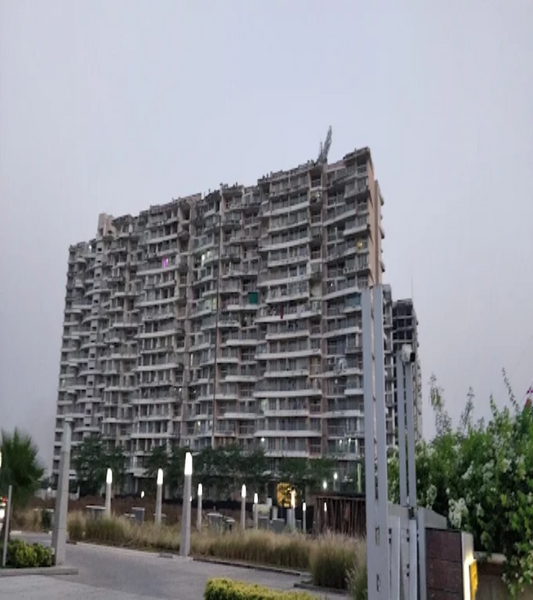 Pinnacle D Dream's