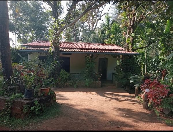 BIRDS PARADISE - DANDELI