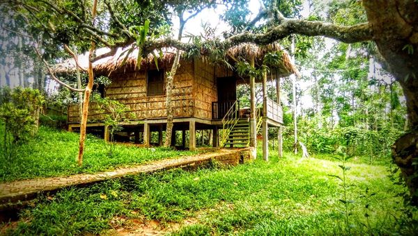 Litchibari Eco Resort