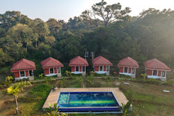 Dark Forest Inn - Homestay