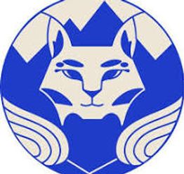 BobcatCleans Service