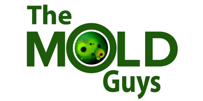 TheMold Guys